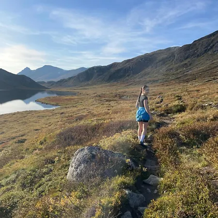 Relaxing Mountain With Panoramic Views Tatil Evi Beitostolen